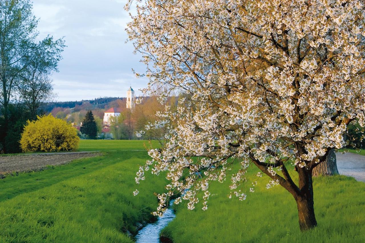 Best Western Aparthotel Birnbachhoehe Bad Birnbach Eksteriør bilde